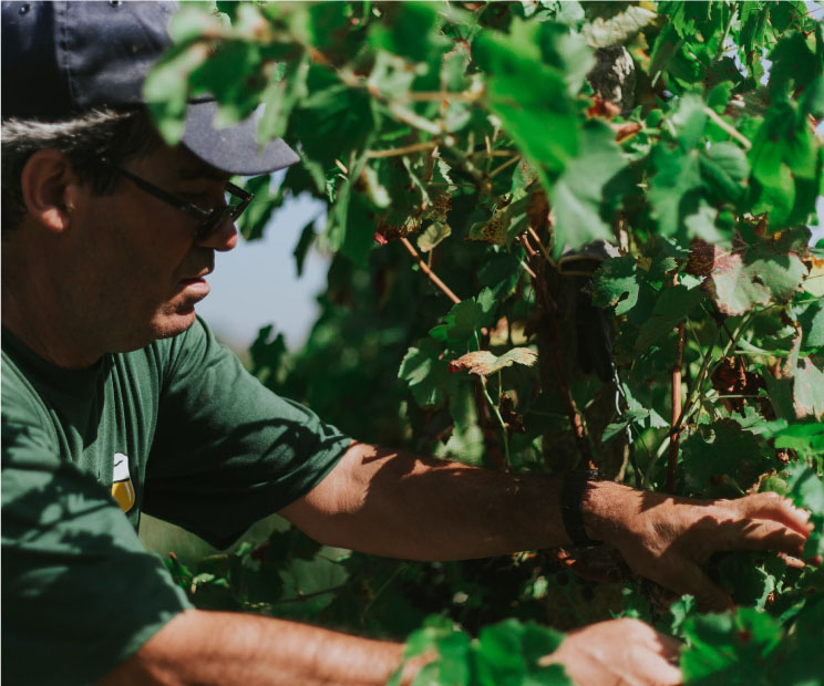 man farming